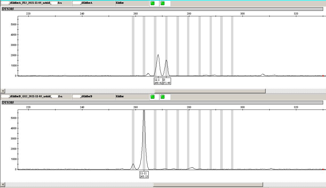 DYS385 Kittler electropherogram