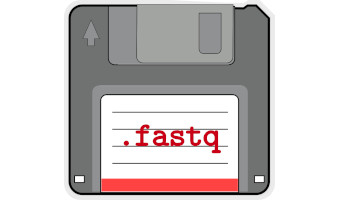 FASTQ Mapping to hg38